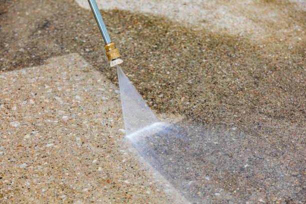 Animal Enclosure Cleaning in East Basin, UT